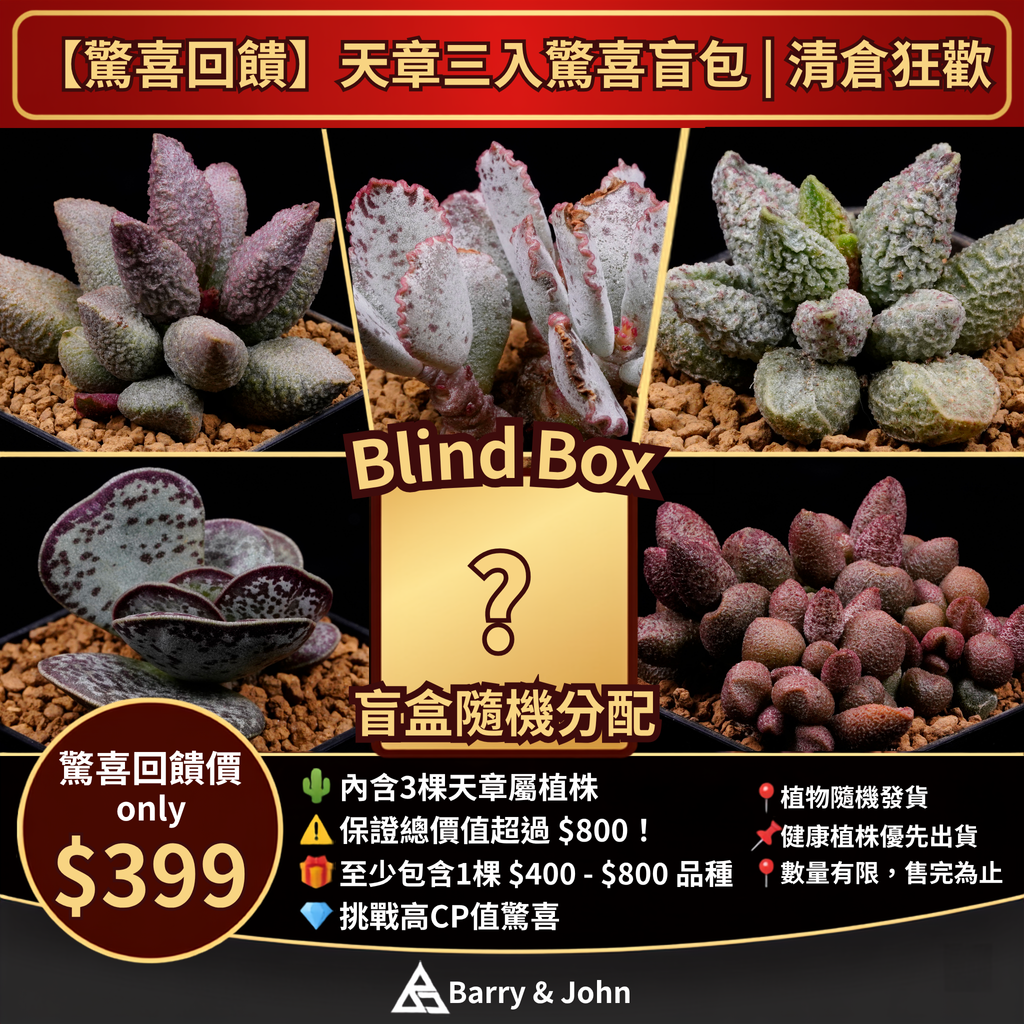 天章盲盒1