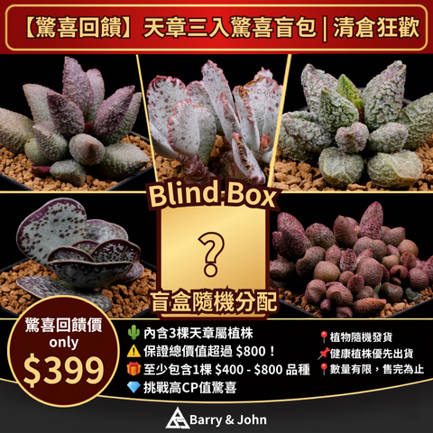 天章盲盒1