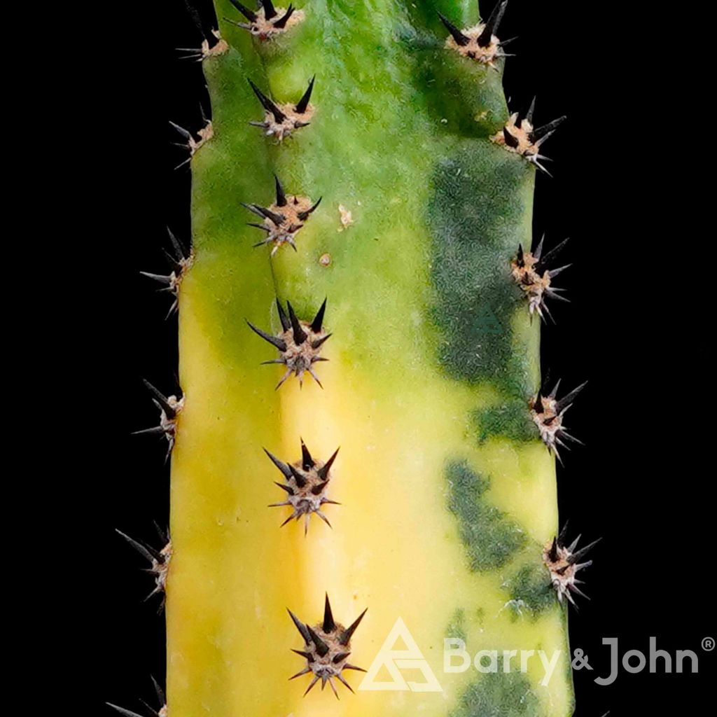 10-02