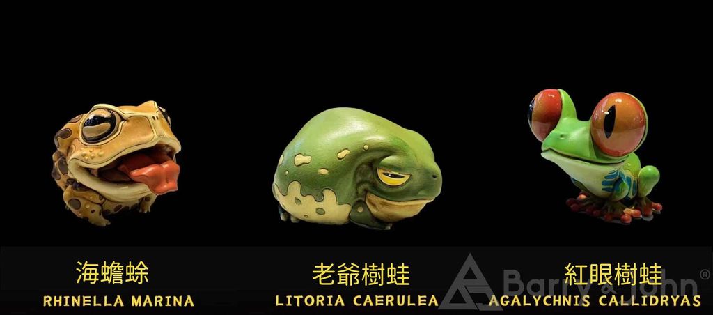 蛙星球3.jpg