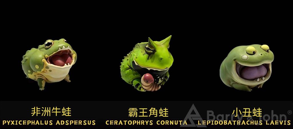 蛙星球4.jpg