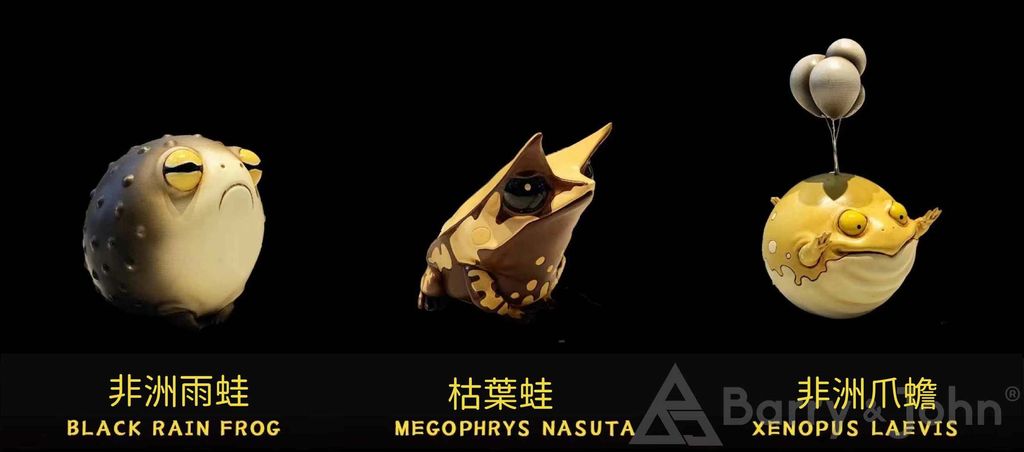 蛙星球5.jpg
