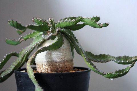 截圖 2022-09-03 上午9.12.09