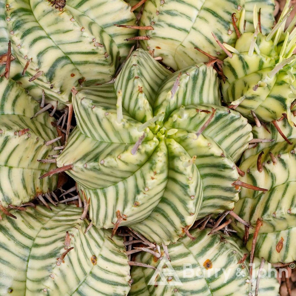 01-02