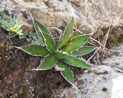 截圖 2022-10-17 上午8.46.36