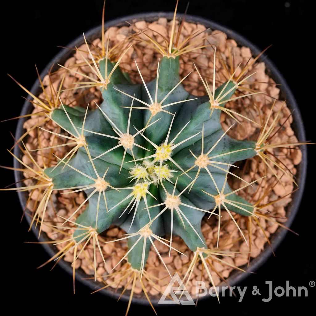 01-01