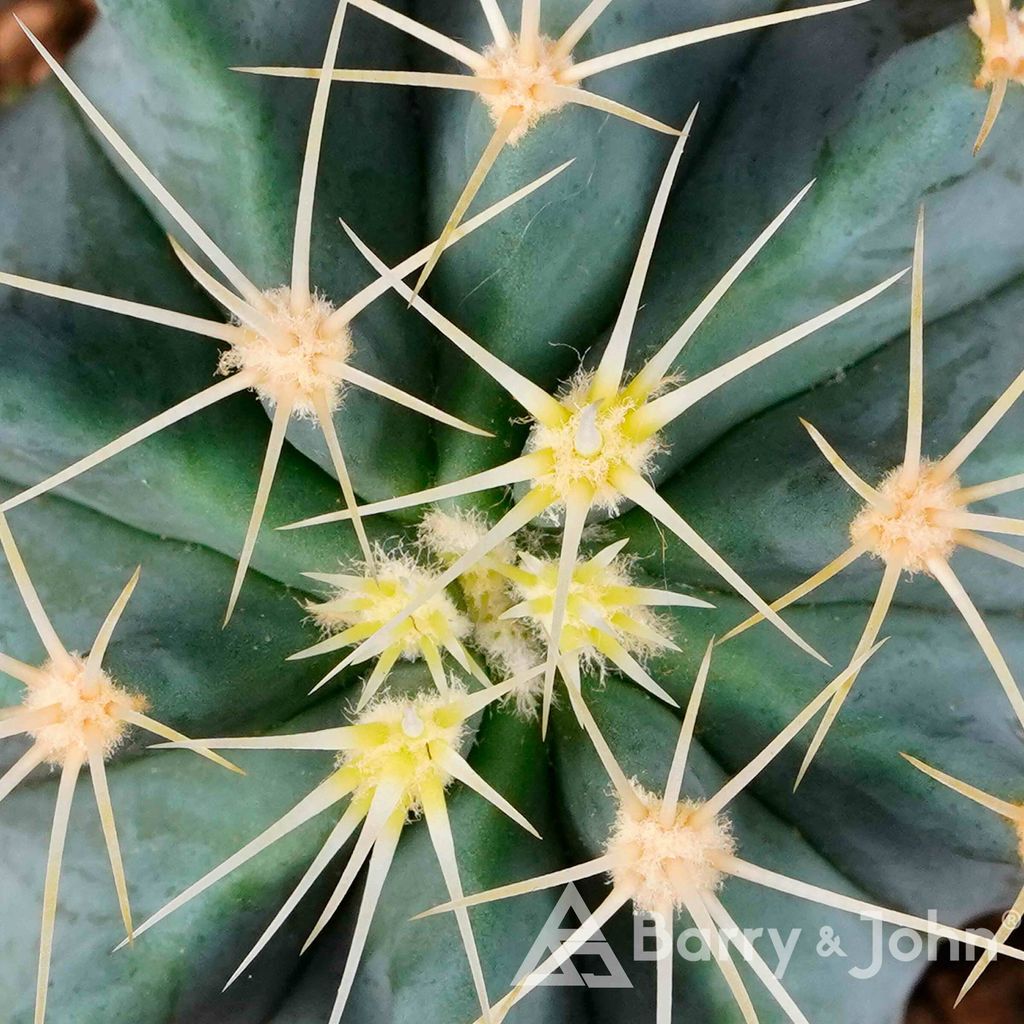01-02