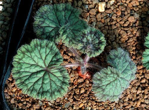 c2a716fd82ac9d367ad835d3ba39c56c