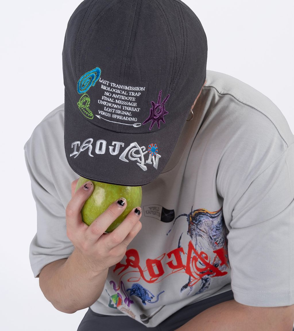 Troyan帽_灰_LB (1)