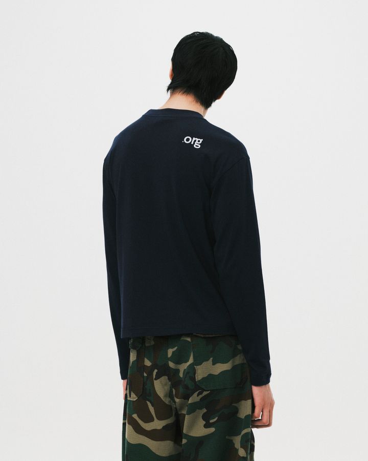 Org 22th63091