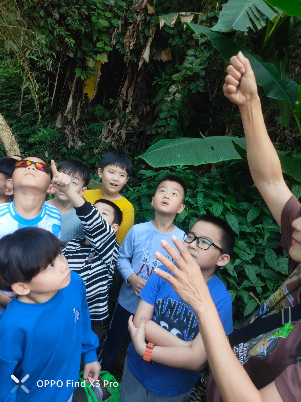 506203069_1014006544224238_6982242503416199246_n