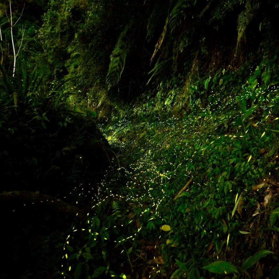 485740940_28817383084576246_9037521626054475060_n