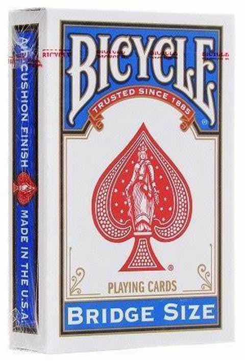 bicycle bridge rider back 21