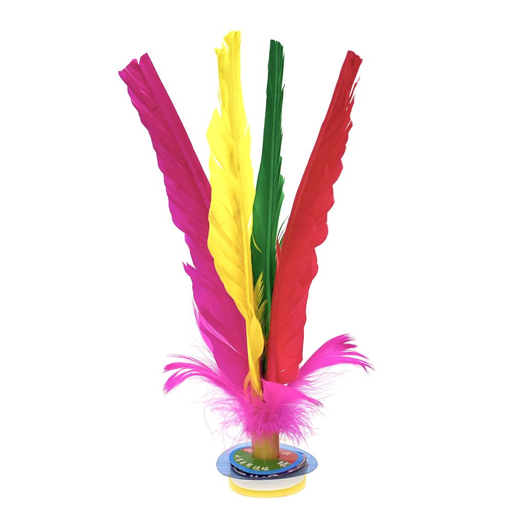 20cm Chapteh Singapore