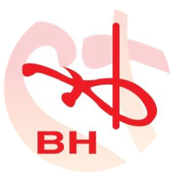BHF FOOD INDUSTRIES SDN BHD (OVERSEA TRADE) BOON HONG FISHERY SDN BHD (LOCAL TRADE)