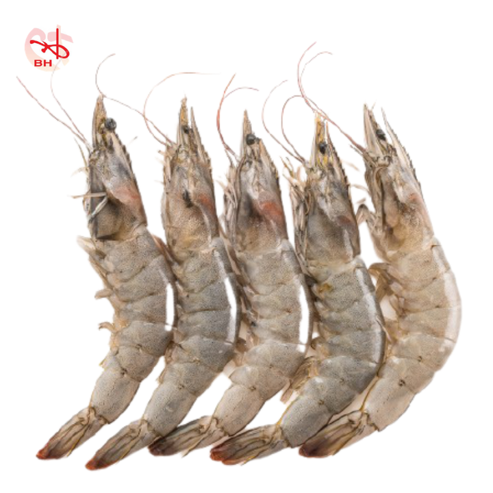 76.png