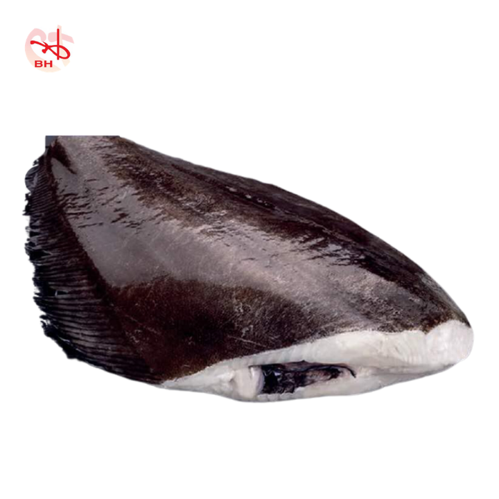 Halibut Headless 3.png