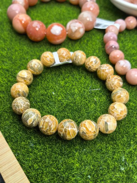 ff70fe27-427d-4a62-8053-22ca0cef121a4346260498750937193