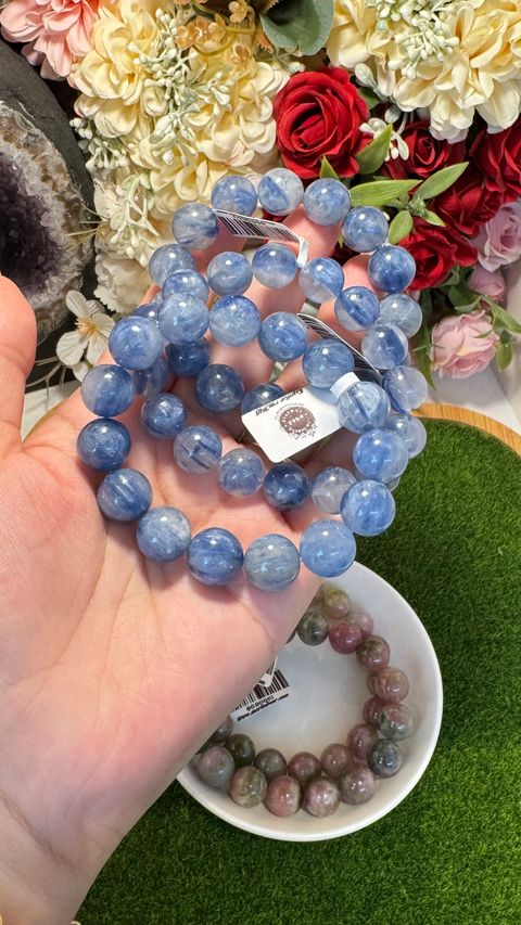 IMG_6219-1734765183345