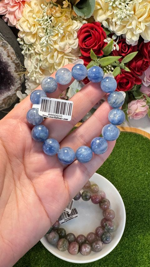 IMG_6220-1734765186031