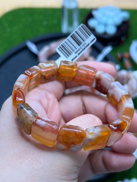 IMG_3382-1737460690184