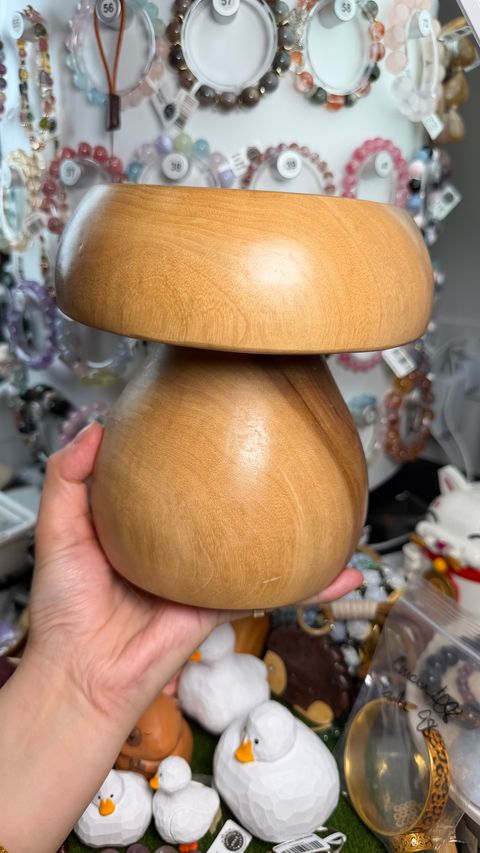 image_33809B03-FC10-4998-BCC8-4356B017D1FD_1769783982