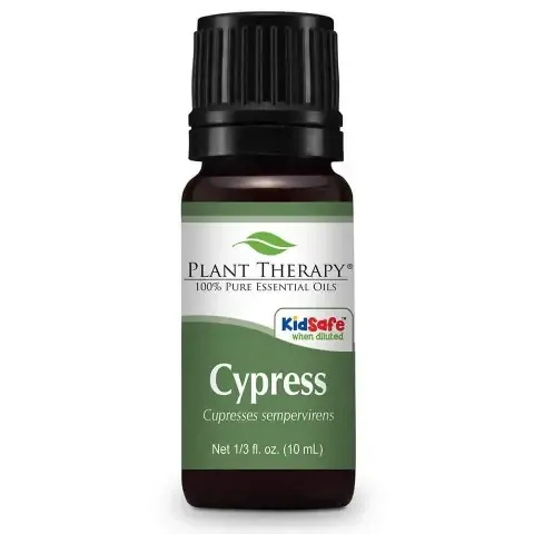 Plant_therapy-_Cypress