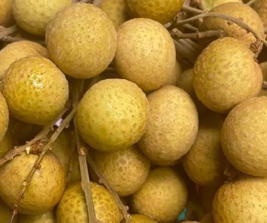 Thai Longan Five Brothers Fruits Empire