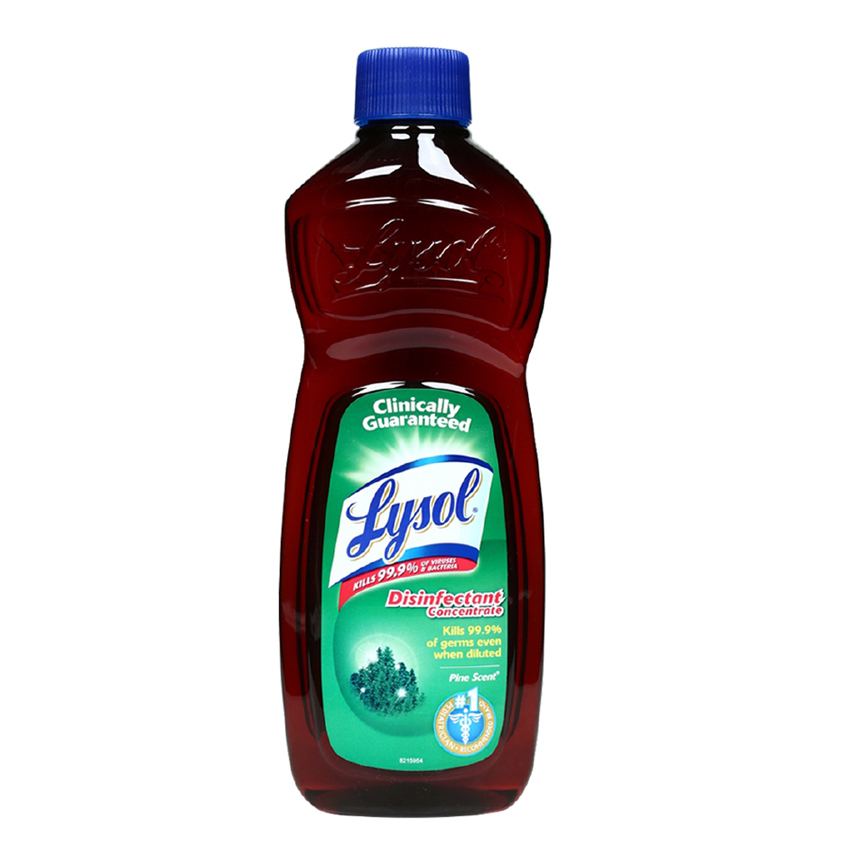 Lysol Disinfectant Concentrate Pine Scent 350mL – Citimart