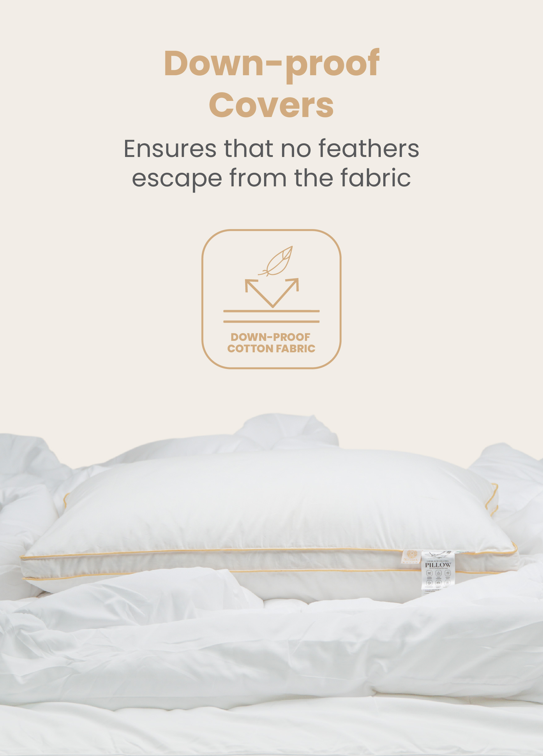 Feather Pillow Landing - 6