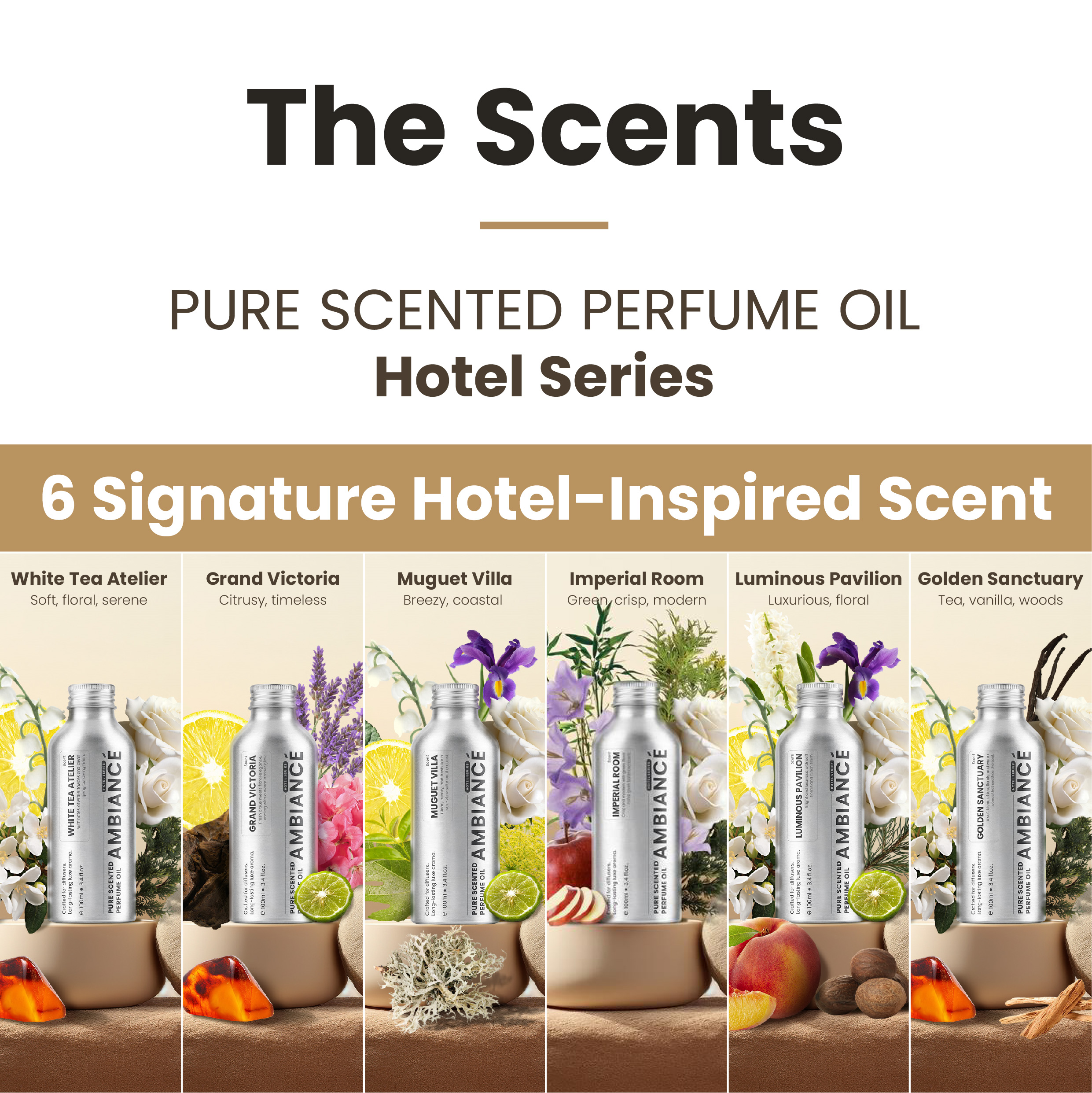 Landing Page Ambiance-12