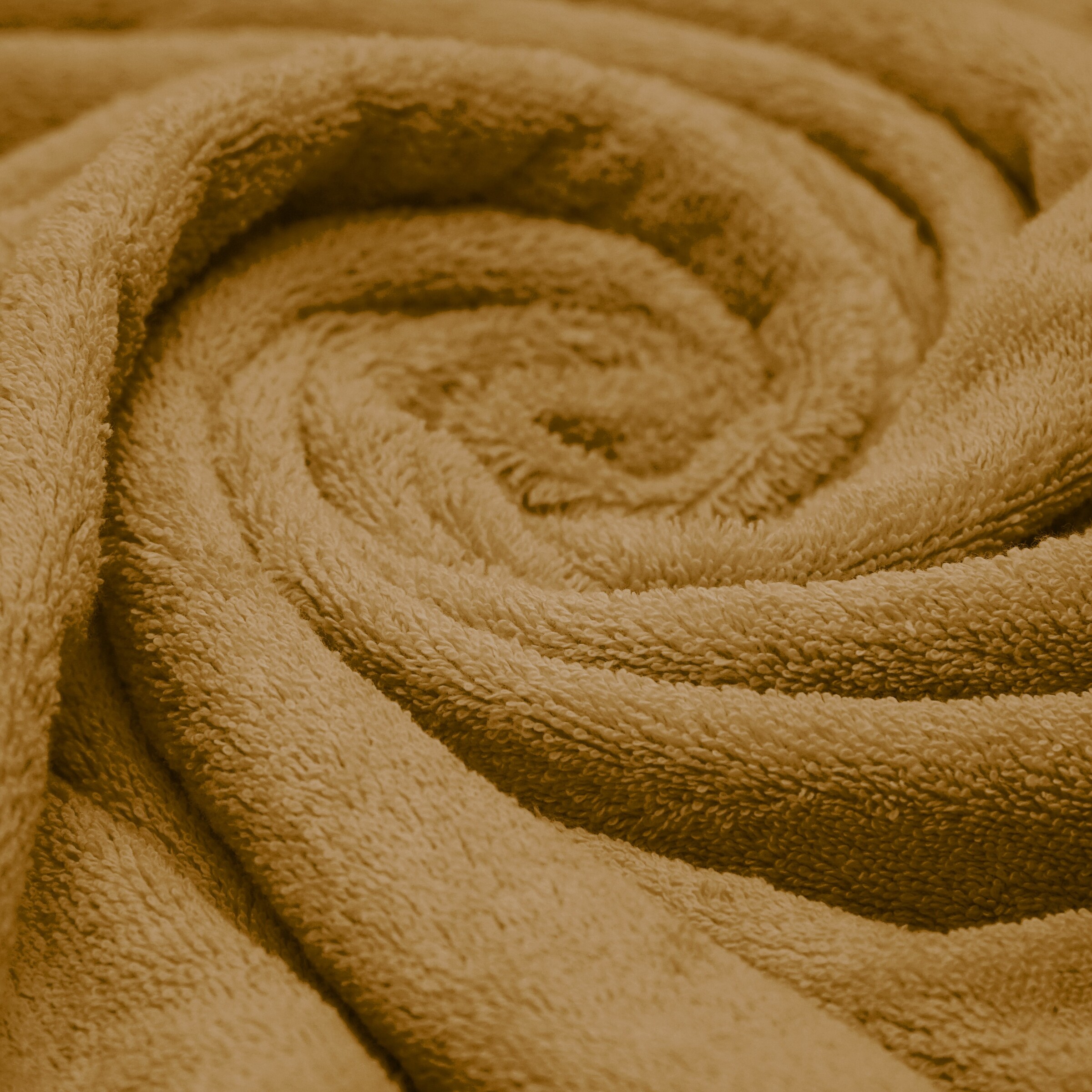 DSC09603- Caramel Bronze