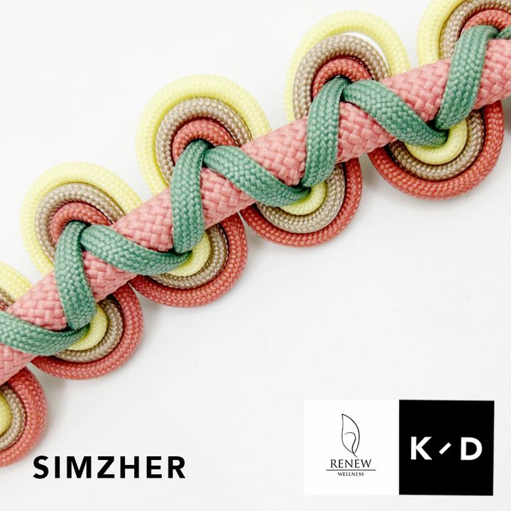 SIMZHER2