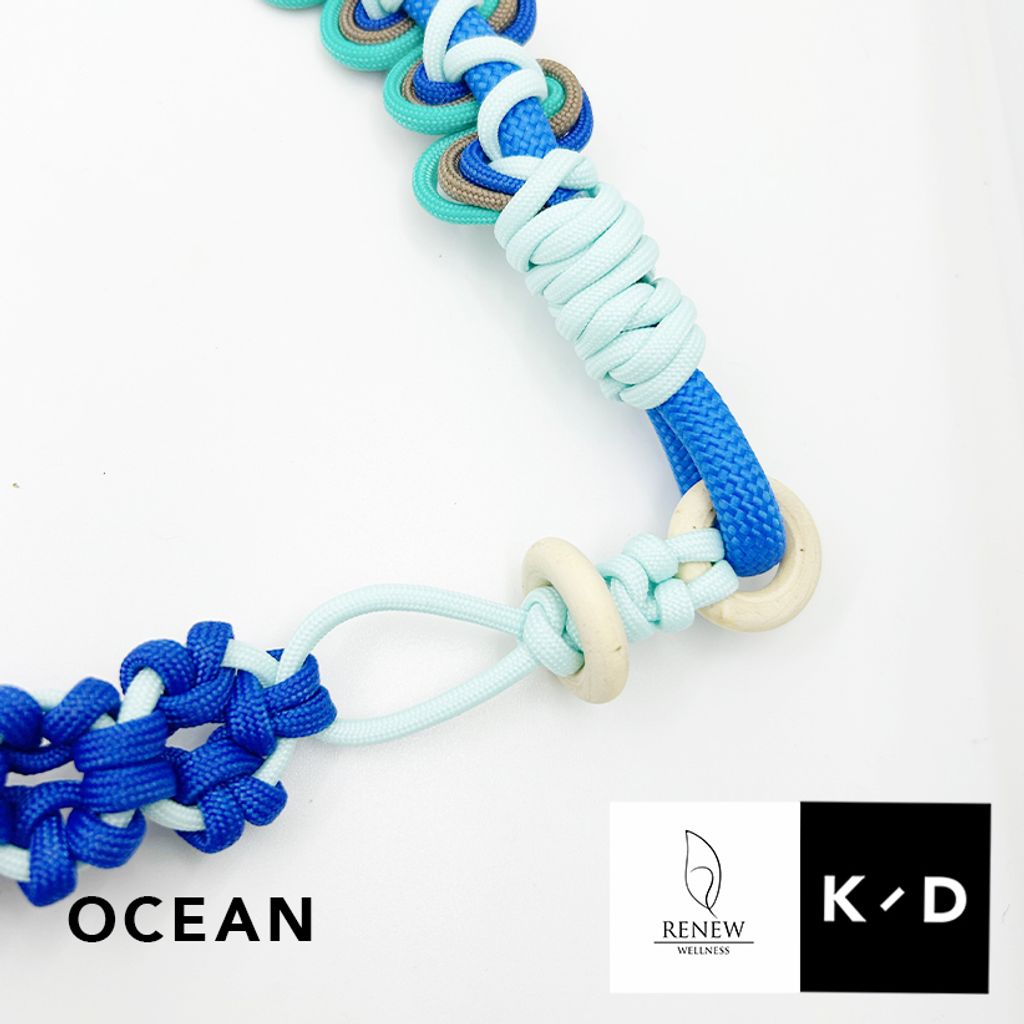Ocean5