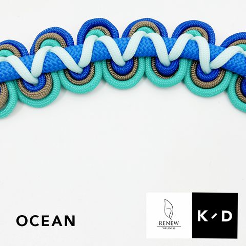 Ocean4