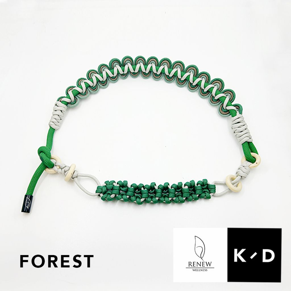 Forest1
