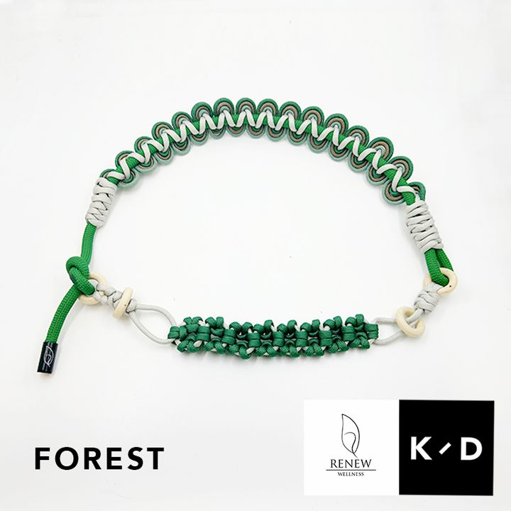 Forest1