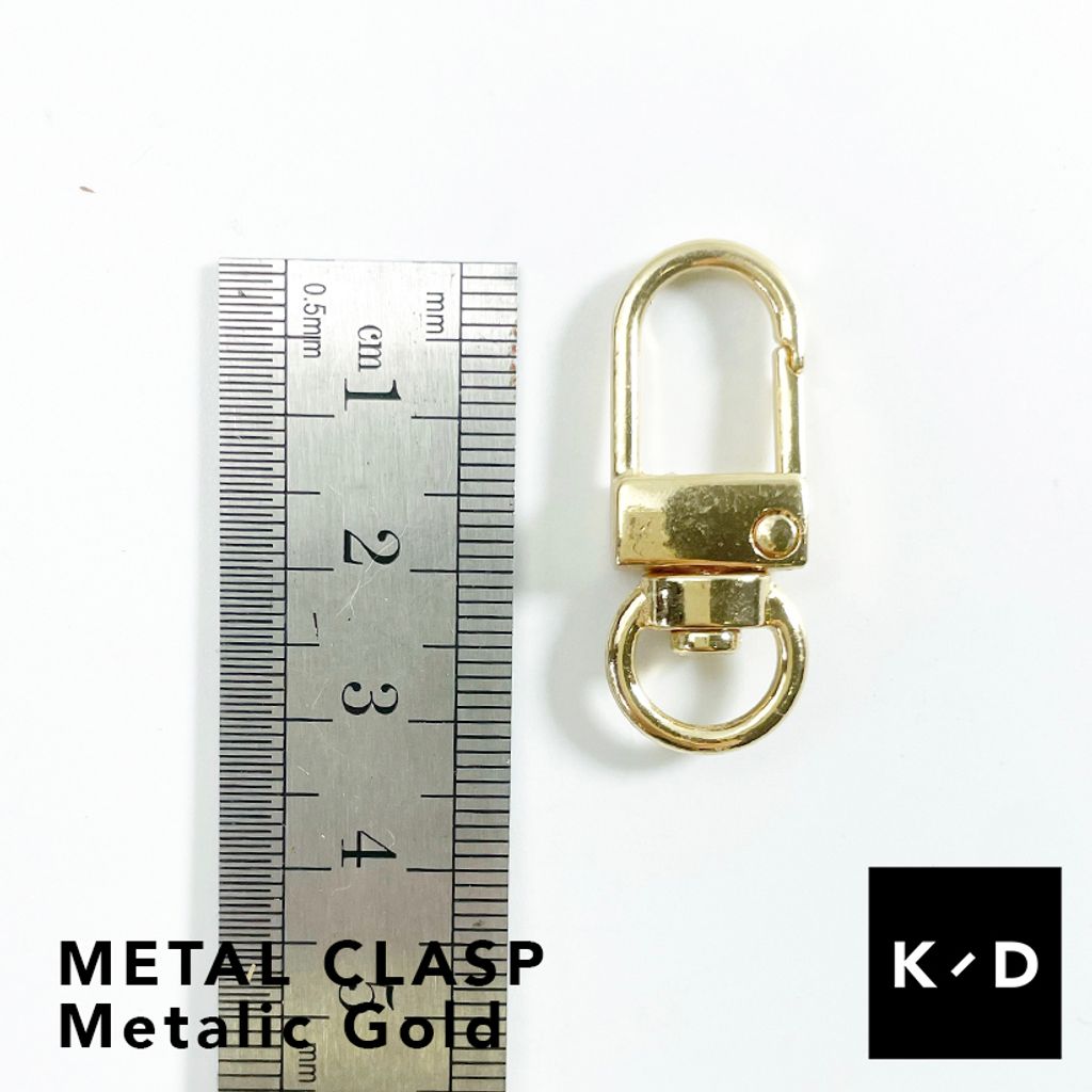 clasp Gold2