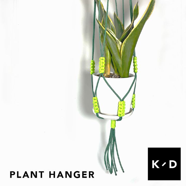 plant1