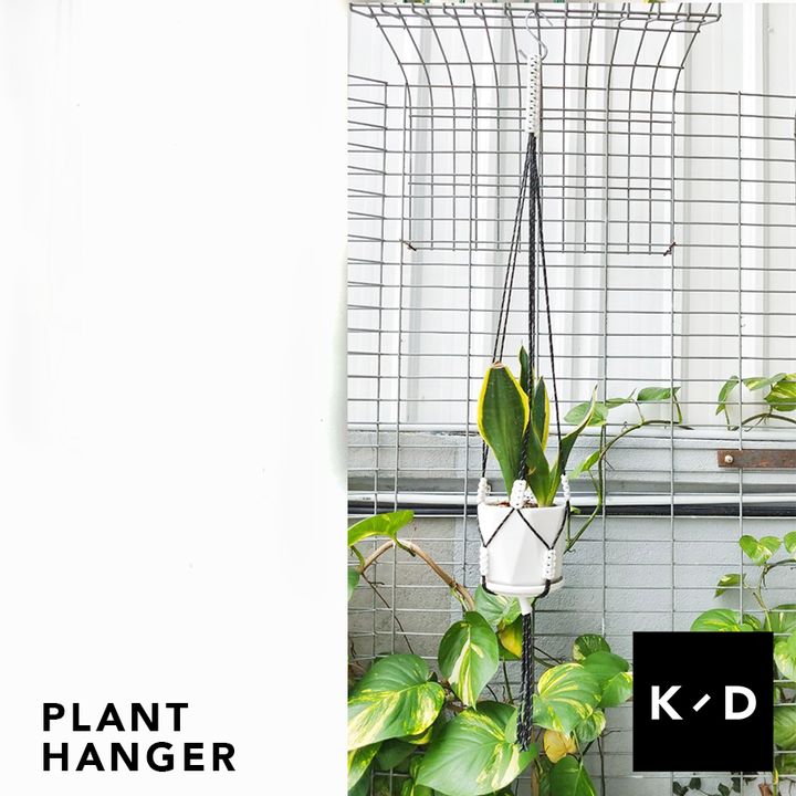 plant2