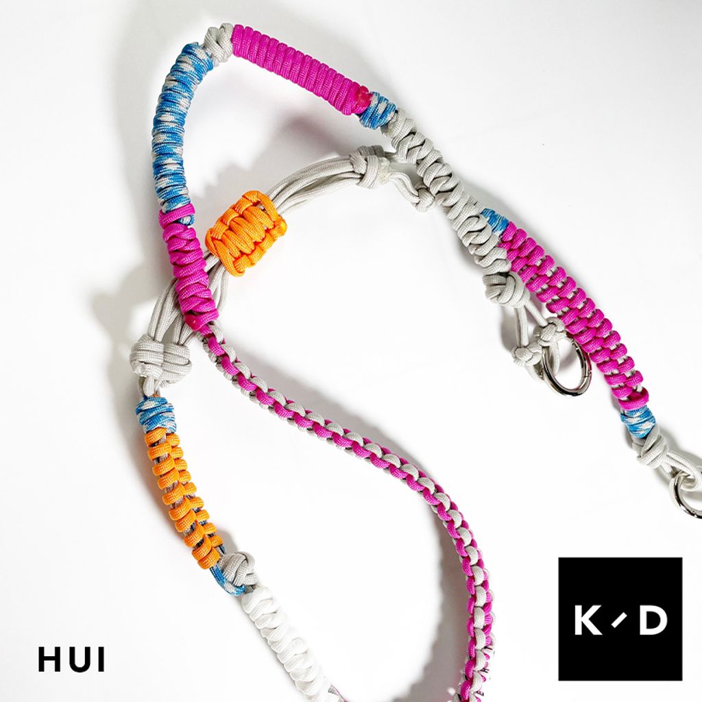 Hui