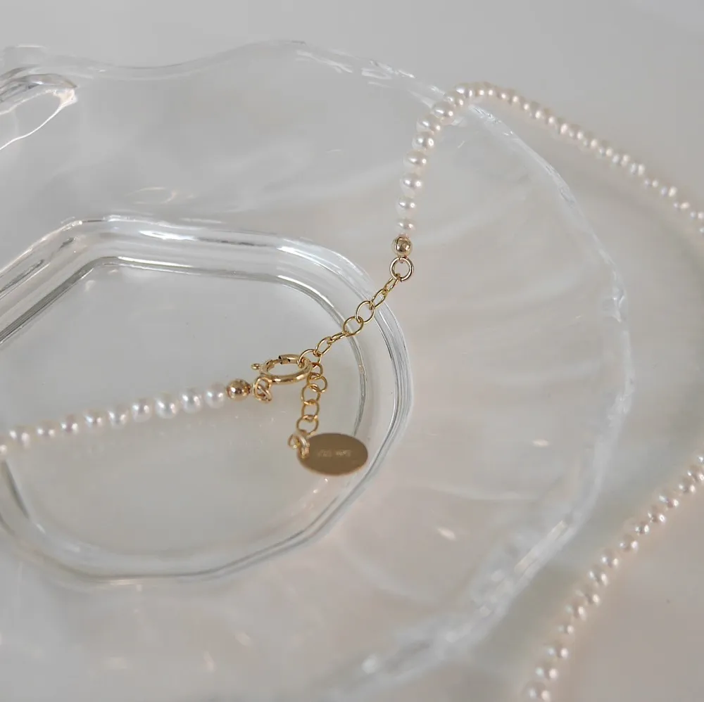 202099_200909_31.jpg 202099_200909_31.jpg