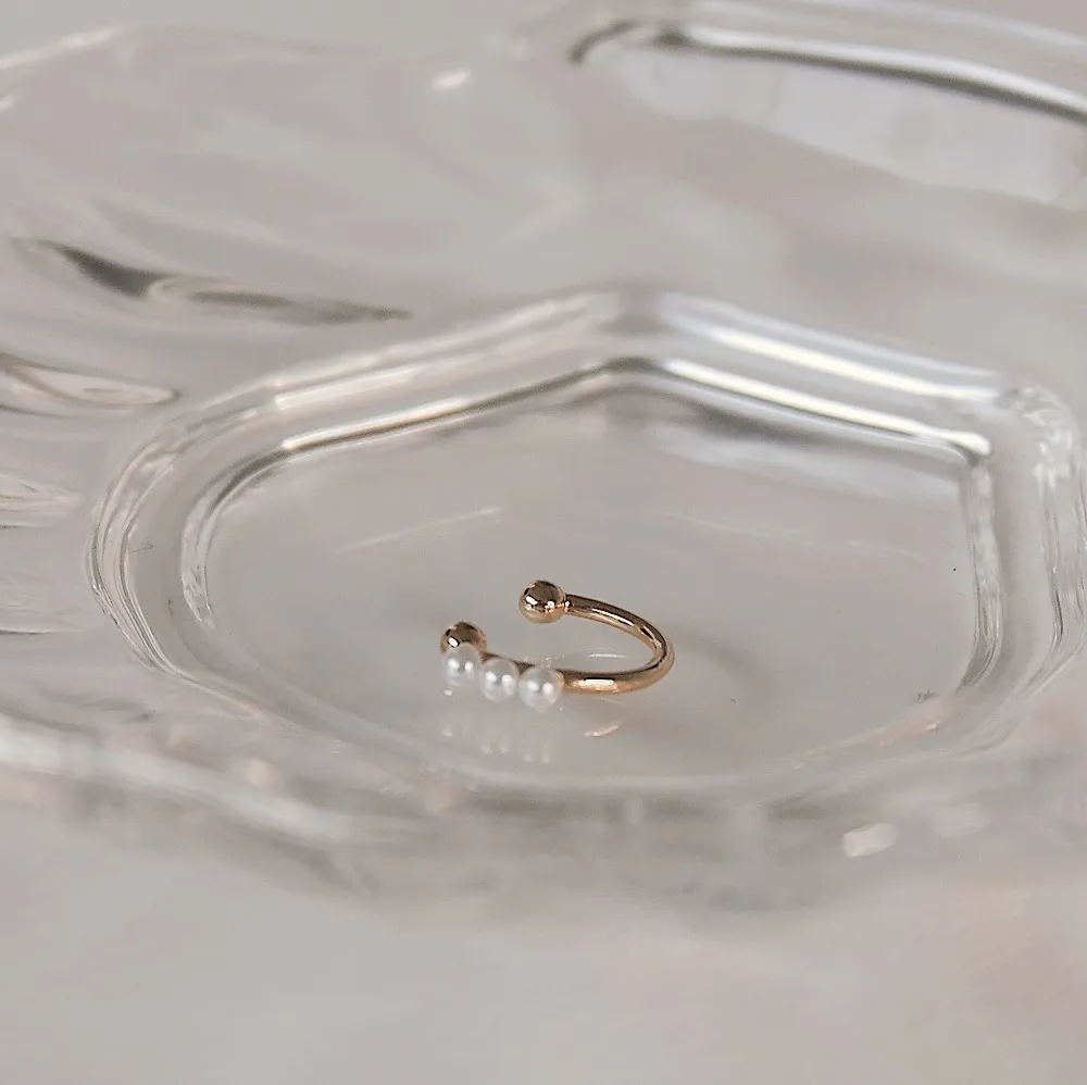 2021110_210110_5.jpg 2021110_210110_5.jpg