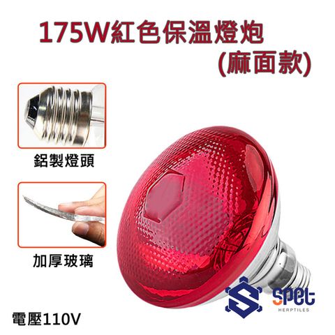 紅色保溫燈泡175W