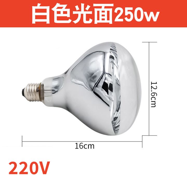 220V-250W-光面保溫燈