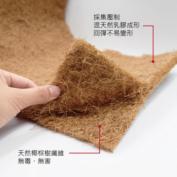 椰棕墊細部圖.jpg