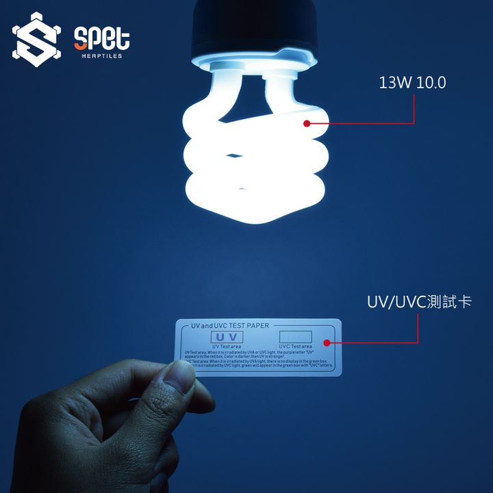 13W側視圖.jpg