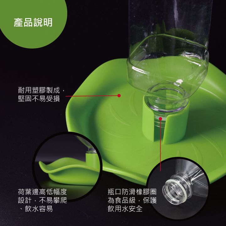 荷葉水盤說明.jpg