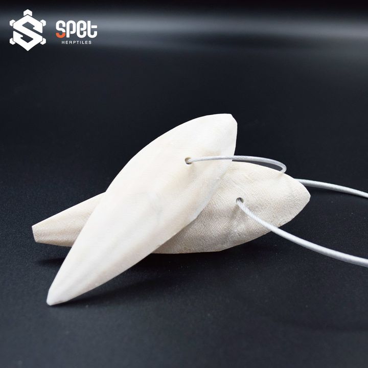 墨魚骨(官網首頁).jpg