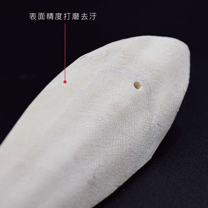 墨魚骨近照.jpg